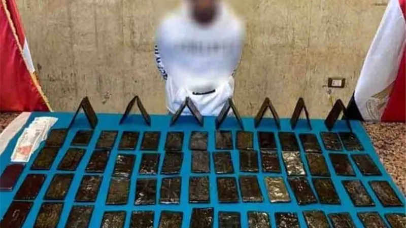 القبض على 4 أشخاص بـ7 كيلو حشيش واستروكس في القاهرة