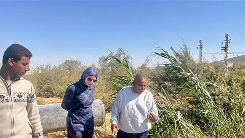 رفع كفاءة المرافق وعمل بنية تحتية قوية واستثمار بالسويس الجديدة