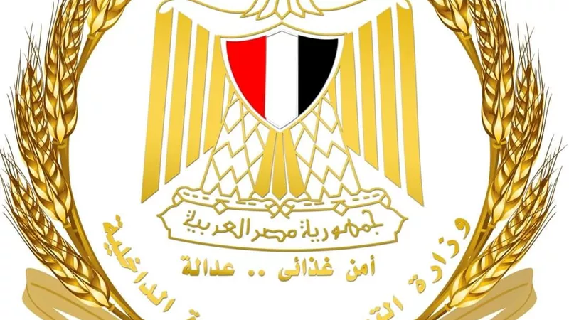 مصيلحي:يحظر نقل القمح من مكان لأخر الا بعد الحصول على تصريح من التموين