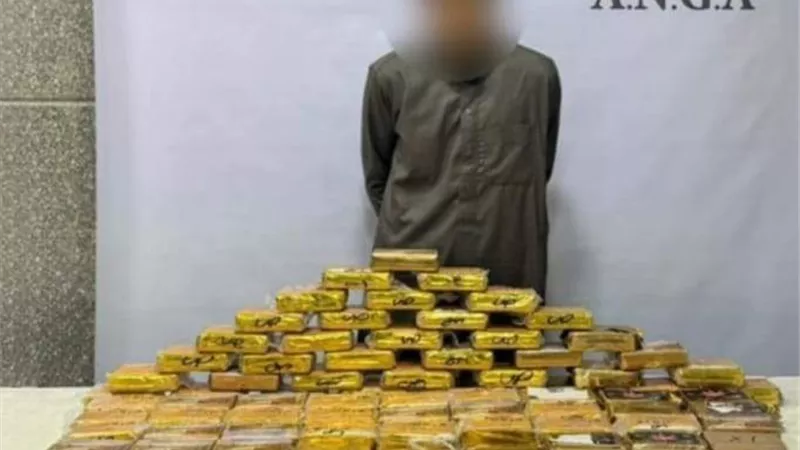 ضبط عنصرين إجراميين بحوزتهما 556 طربة حشيش بالشرقية والمنيا