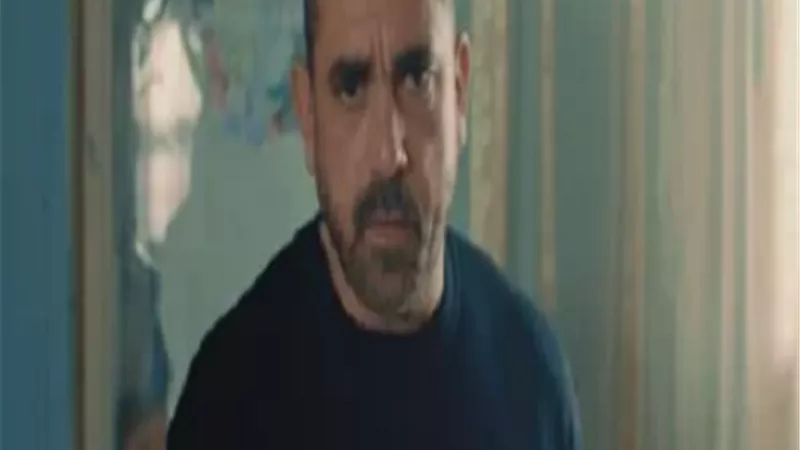 أمير كرارة