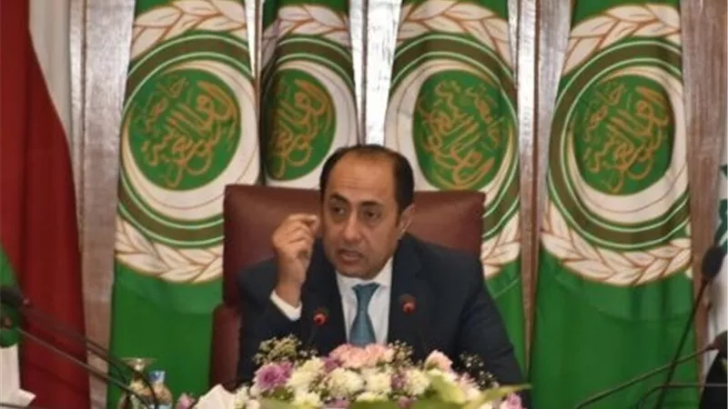 حسام زكي : الجامعة العربية تسير على ألغام في بعض المسائل الحرجة