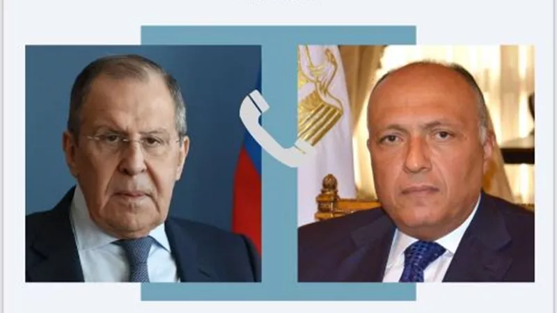 مشددا على تضامن مصر مع روسيا فى الظروف الحالية .. شكرى يجري اتصالاً هاتفياً مع لافروف