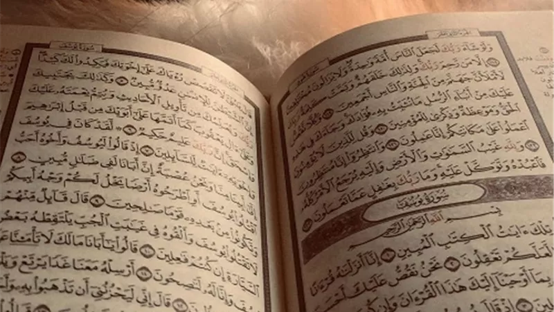 لغة القرآن.. الْحَجُّ أَشْهُرى مَعْلُومَاتى
