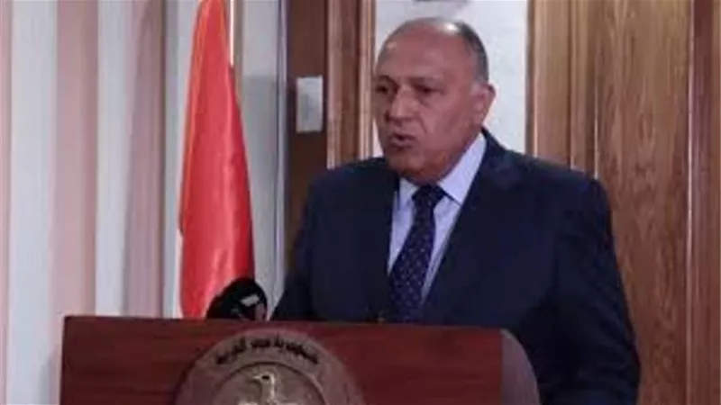 شكرى: توافق مصرى أمريكى بشان الوصول إلى حل نهائى عادل للقضية الفلسطينية