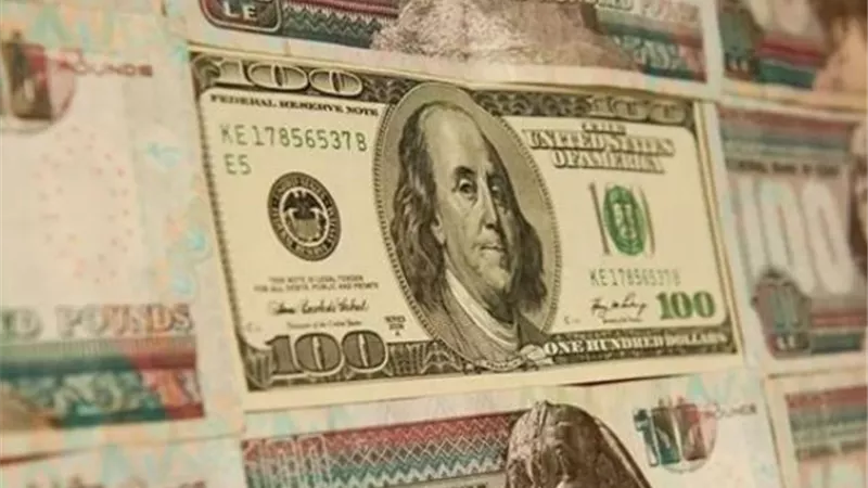 استقرار أسعار صرف الدولار وتباين 