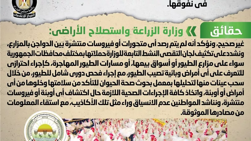 الحكومة تنفى انتشار فيروس جديد يصيب الدواجن بالمزارع ويتسبب في نفوقها