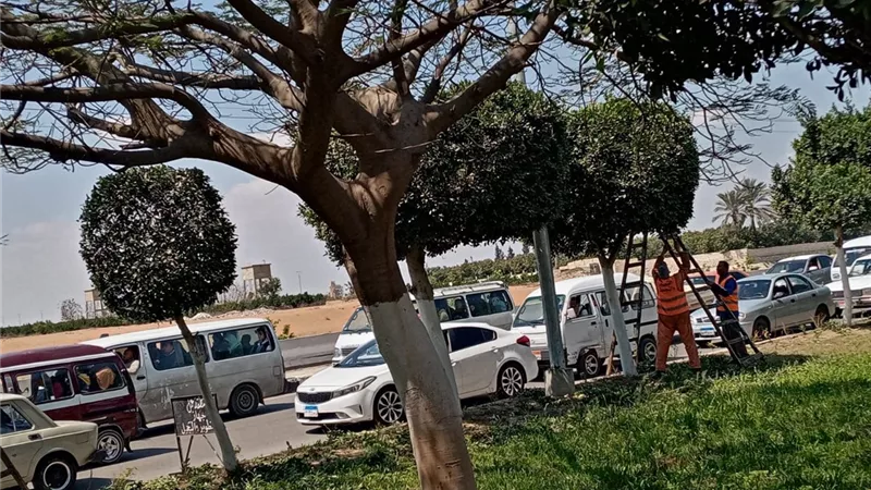 تطوير حدائق وميادين الإسماعيلية احتفالا بأعياد الربيع
