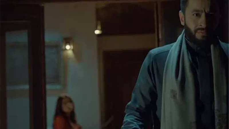 طلاق حمادة هلال وهبة مجدي فى 