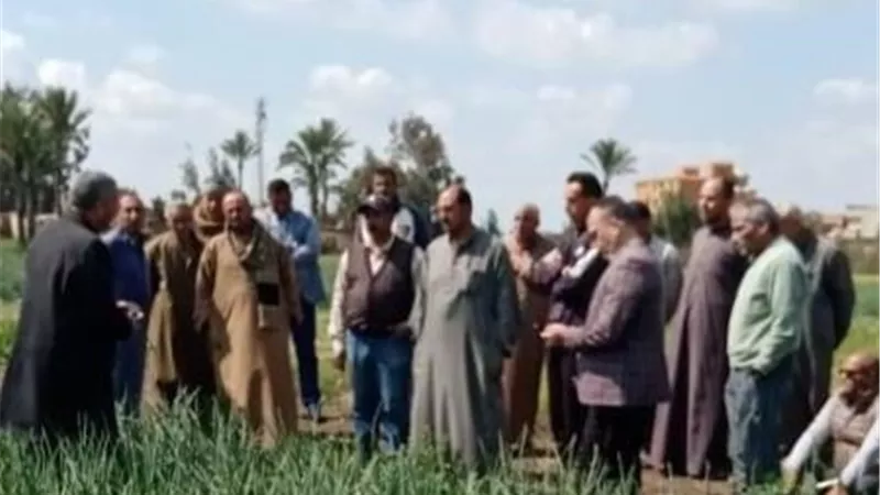 محافظ كفرالشيخ:ندوات وقوافل لتعزيز الوعى بممارسات الزراعة الحديثة
