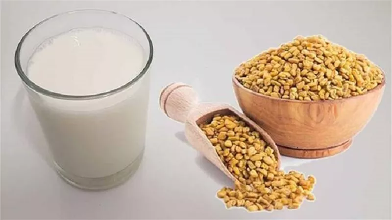 تعرف على فوائد الحلبة باللبن