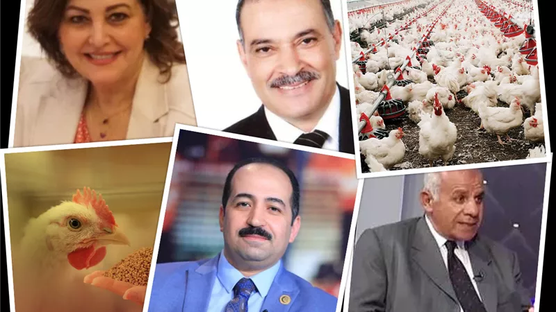 العشوائية تضرب 