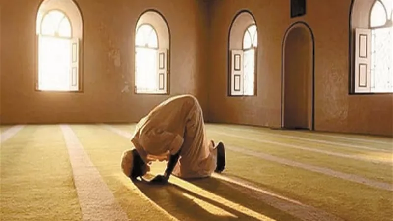 أنت تسأل والمفتي يجيب.لهذا جاء النهي عن التفكر في ذات الله-عز وجل