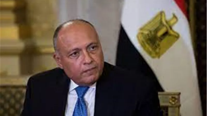 وزير الخارجية : مستقبل الوطن والدفاع عن مصالحه أمانة بين إيدينا جميعاً