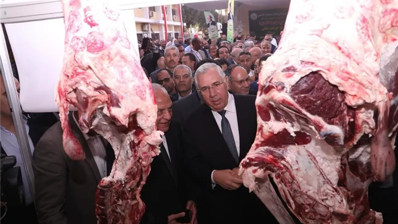 الزراعة تطرح اللحوم في منافذها ب 270 جنيها ومستلزمات العيد بأسعارمخفضة