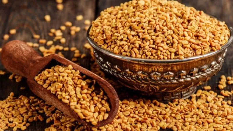 7 فوائد لشرب النساء للحلبة فى رمضان