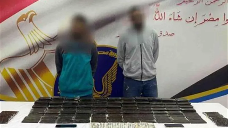 ضبط عنصرين إجراميين بـ 290 طربة حشيش بالغردقة