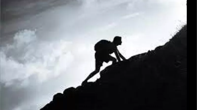 من جميل ما قرآنا..حول قواعد التعامل مع الشدائد