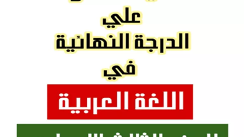 ملخص العربي في 12 ورقة فقط للصف الثالث الإعدادي الترم الثاني