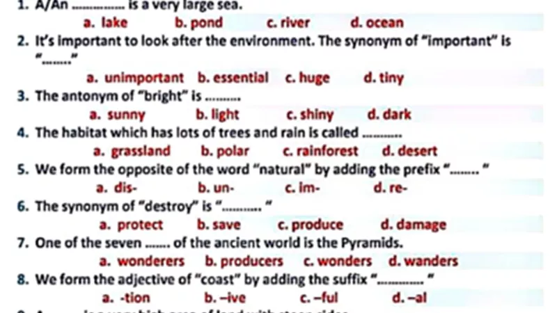 المراجعة النهائية في اللغة الانجليزية للشهادة الإعدادية الترم الثاني