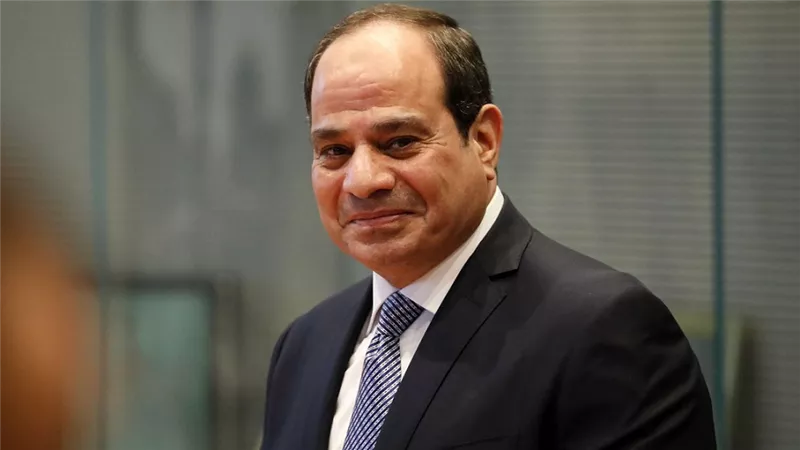 الرئيس السيسى وأبو مازن يؤكدان مواصلة العمل لحل القضية الفلسطينية