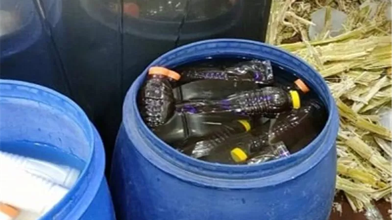 إعدام ٢١٦كجم اغذيه متنوعه و١٥٠ لتر زيوت وتحرير ٧١ محضرا بالسويس