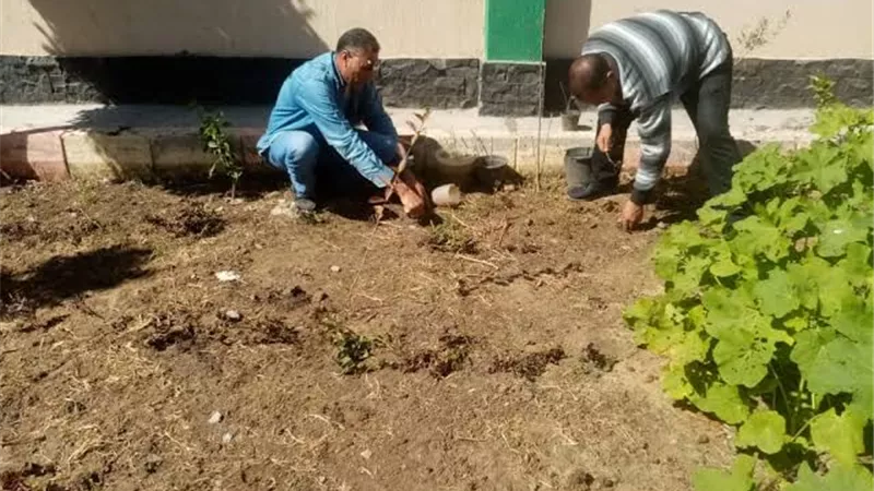 محافظ كفرالشيخ يقوم بزراعة الأشجار لزراعة 100 مليون شجرة