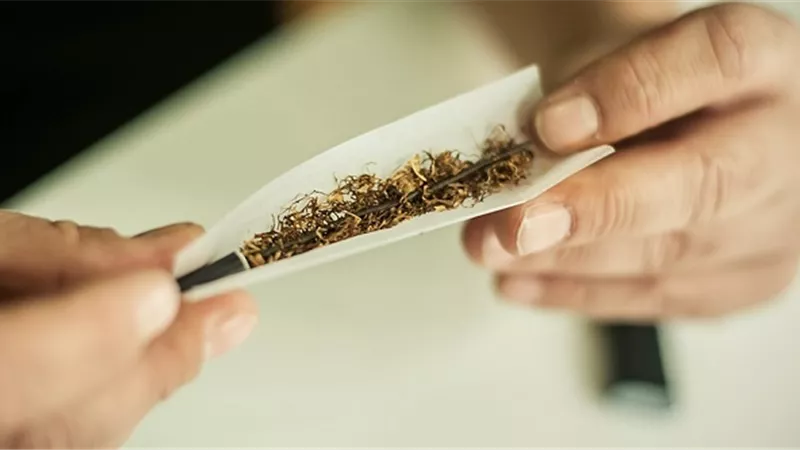 قانون يسمح بتشريع استخدام 
