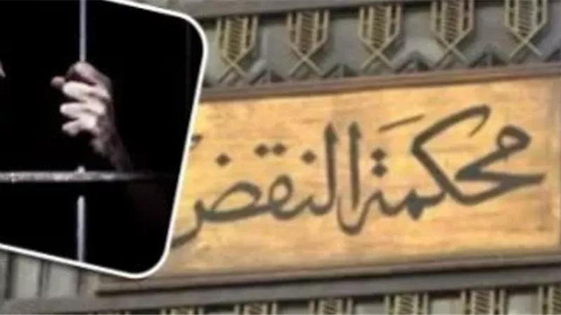 تعرف على الفرق بين الاستئناف والنقض