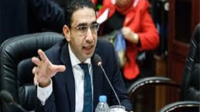 نائب: مصر السيسى قادرة على فرض وجودها ودورها سياسيا واقتصاديا