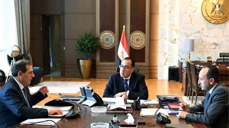 الملا: مصر تستهدف استثمارات أجنبية كبيرة بالقطاع العام المالى الم