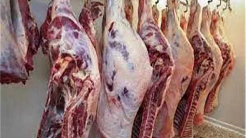 الزراعة: طرح اللحوم البيضاء بـ 95 جنيها في منافذ الوزارة