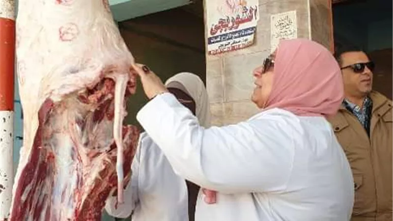 ضبط طن لحوم ودواجن مخالفة بالشرقية