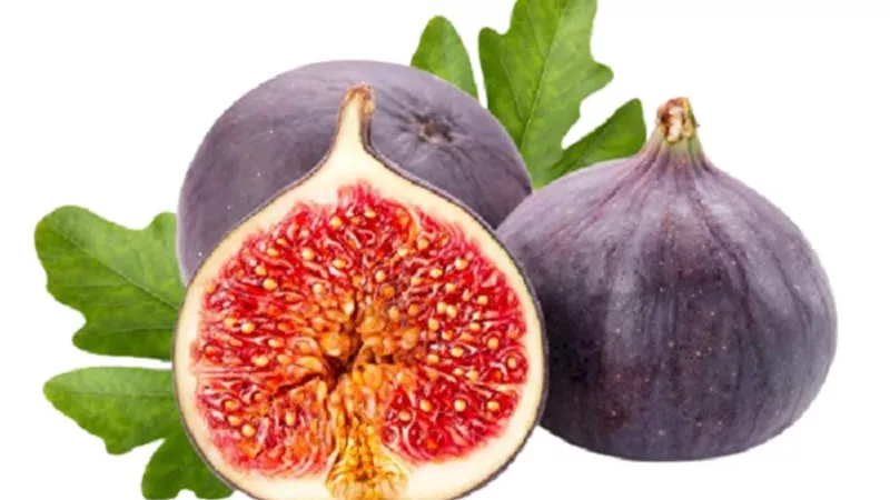 أبرزها علاج اضطرابات القلب .. إليك فوائد التين