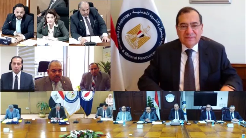 الملا يؤكد دعم جهود التعاون بين البترول وشركائه شل وبتروناس
