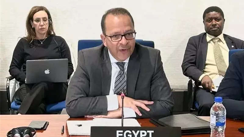 بدء عضوية مصر بمجلس السلم والأمن الإفريقي كممثل عن إقليم شمال إفريقيا