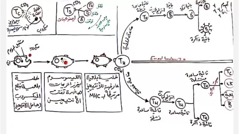 جميع رسومات منهج الأحياء للثانوية العامة 2024