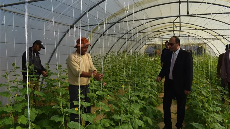 رئيس جامعة العريش: مزرعة الجامعة نموذجًا في تحقيق الأمن الغذائي