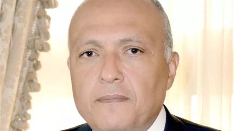 توافق مصري ياباني علي رفض أي هجوم بري علي رفح الفلسطينية