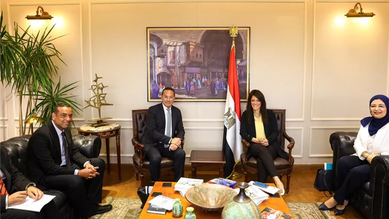 المشاط تبحث مع «اليونيدو» تعزيز التعاون في المشروعات الخضراء