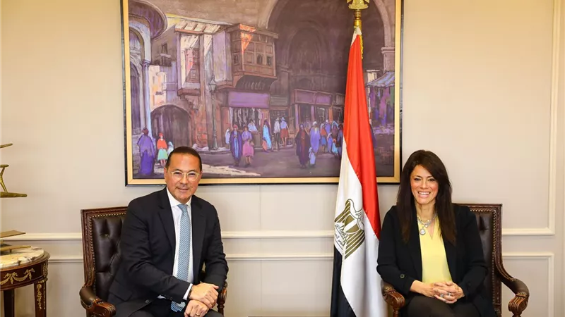 المشاط: دفع التعاون مع اليونيدو لتمكين القطاع الخاص عبر منصة حافز