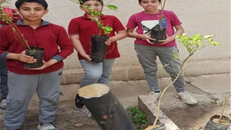تعليم الغربية: استلام 12 ألف شجرة فواكه لزراعتها على المدارس