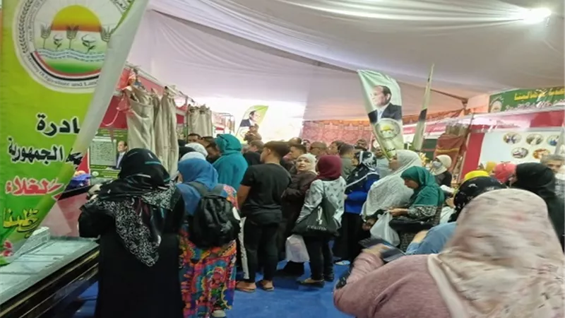 الزراعة تطرح بيض المائدة للبيع للمواطنين بسعر ١٤٠ جنيها للكرتونة