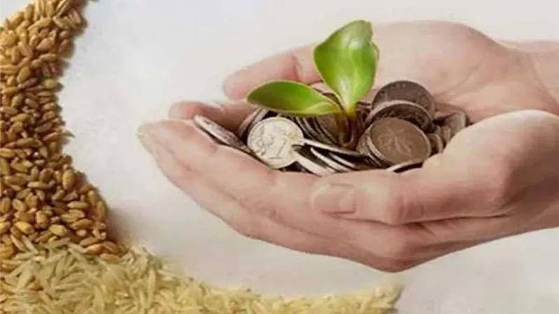 عالم بالأوقاف يحسم الجدل حول زكاة الفطر ويكشف الموعد النهائي لإخراجها