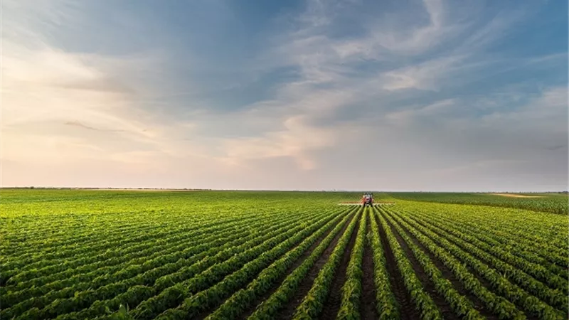 إنفوجراف..تمويلات لأنشطةالإنتاج الزراعي والصناعي بفائدة لا تزيدعلى 15%