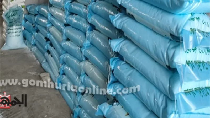 محافظ المنوفية : حملات مكثفة لضبط الأسعار ومتابعة حركة الأسواق