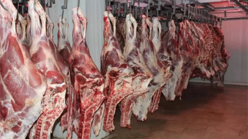 الزراعة تطرح لحوم بلدي بـ 280 جنيهًا.. وبيض المائدة بـ140