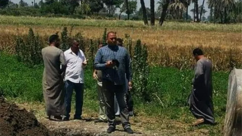 زراعة المنيا تشكل غرف عمليات لحماية الاراضي