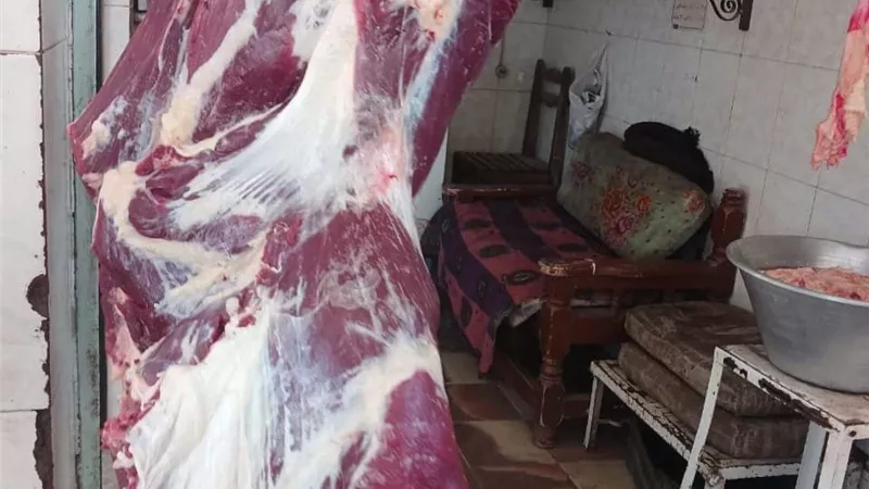 تحرير ١١ محضر فى حملة للطب البيطرى على السلخانات بالأقصر