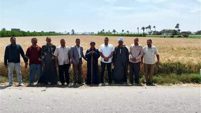 وكيل وزارة الزراعة باسيوط يتابع محصول القمح بأبوتيج
